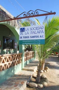 Palapa Society Todos Santo, BCS Mexico